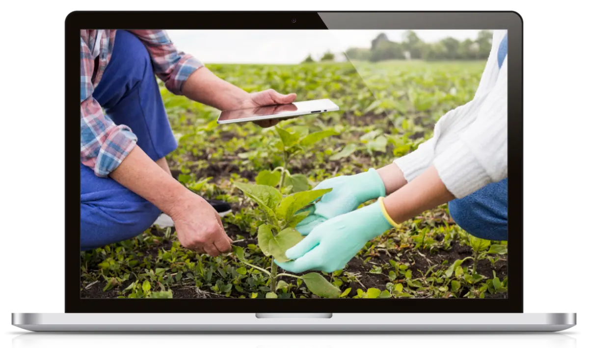Agriculture Services